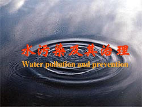 水污染及其治理ppt